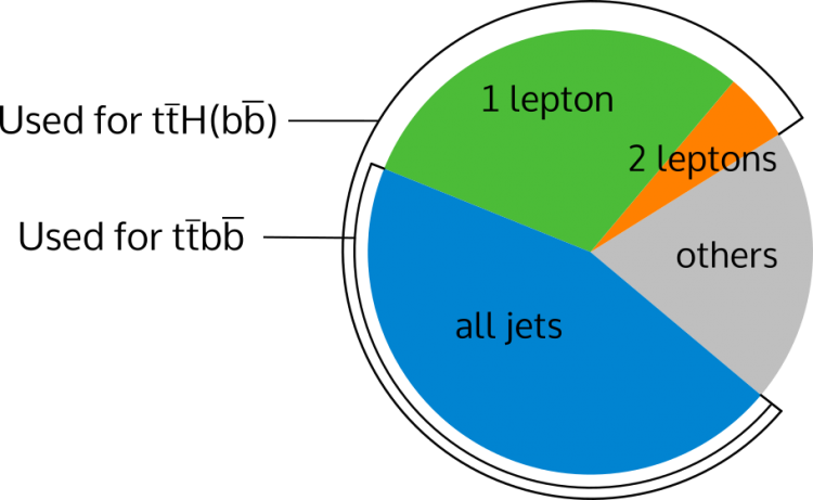 The top quark decay products can involve zero or one lepton (by which we mean an electron or a muon), resulting in different possible signatures when top quarks are produced in pairs. For the measurement of tt+bb we have used collisions where no lepton is present, which in itself is the most frequent possibility, whereas for the ttH (H→bb) analysis we have combined nearly all available decay channels.