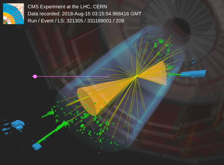 A candidate data event recorded by the CMS detector.