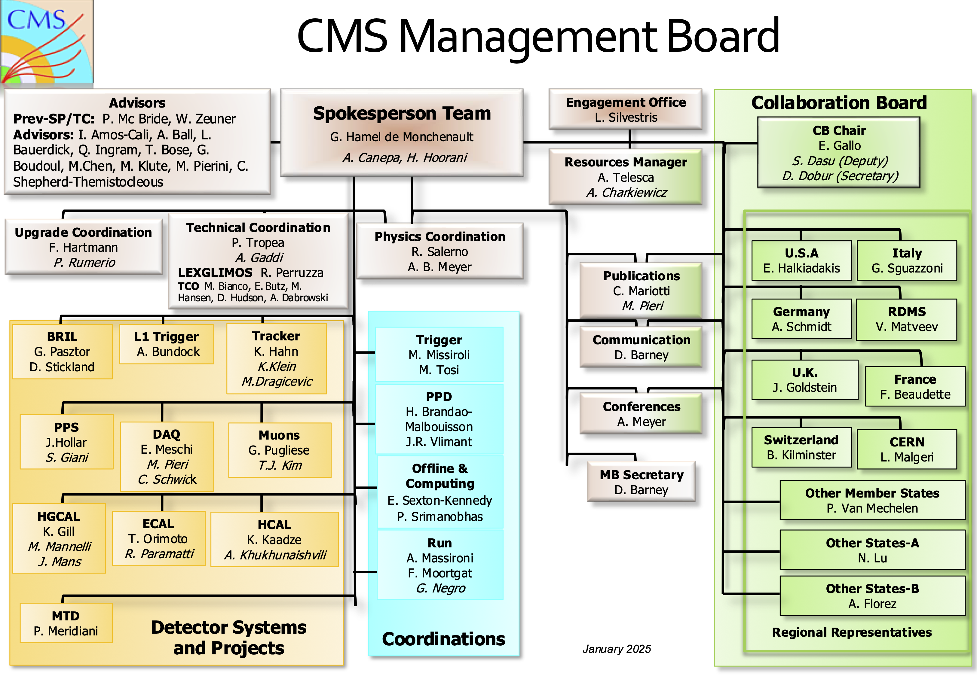 Management Board Organigram Jan 2025