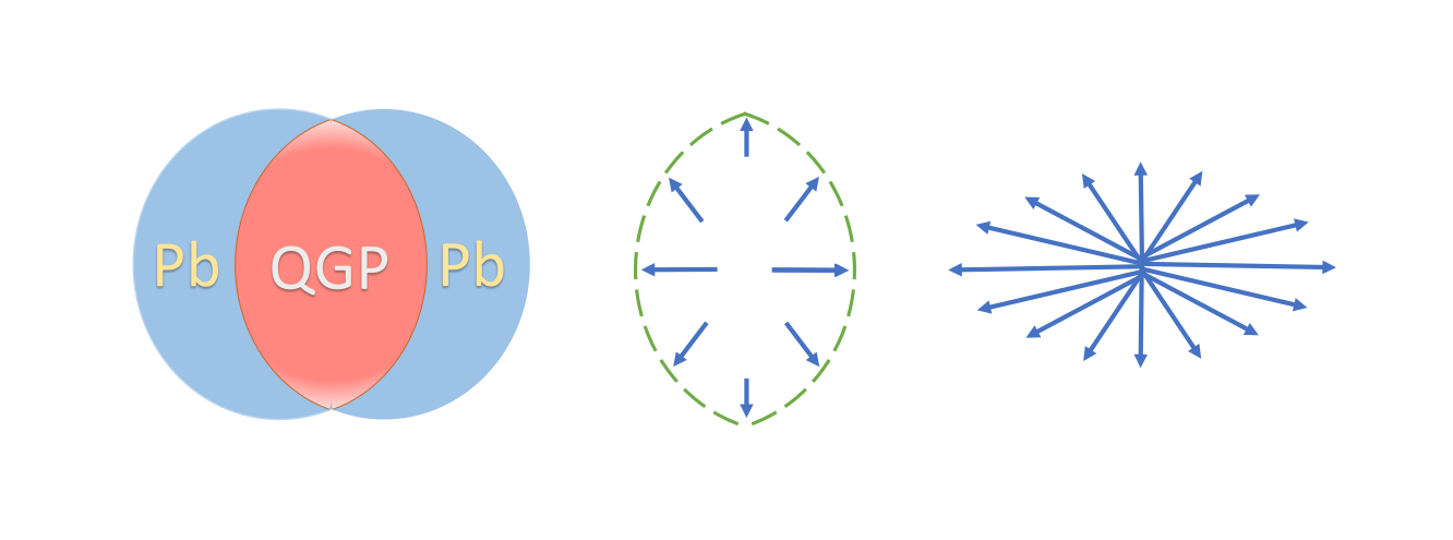 Schematic diagram.