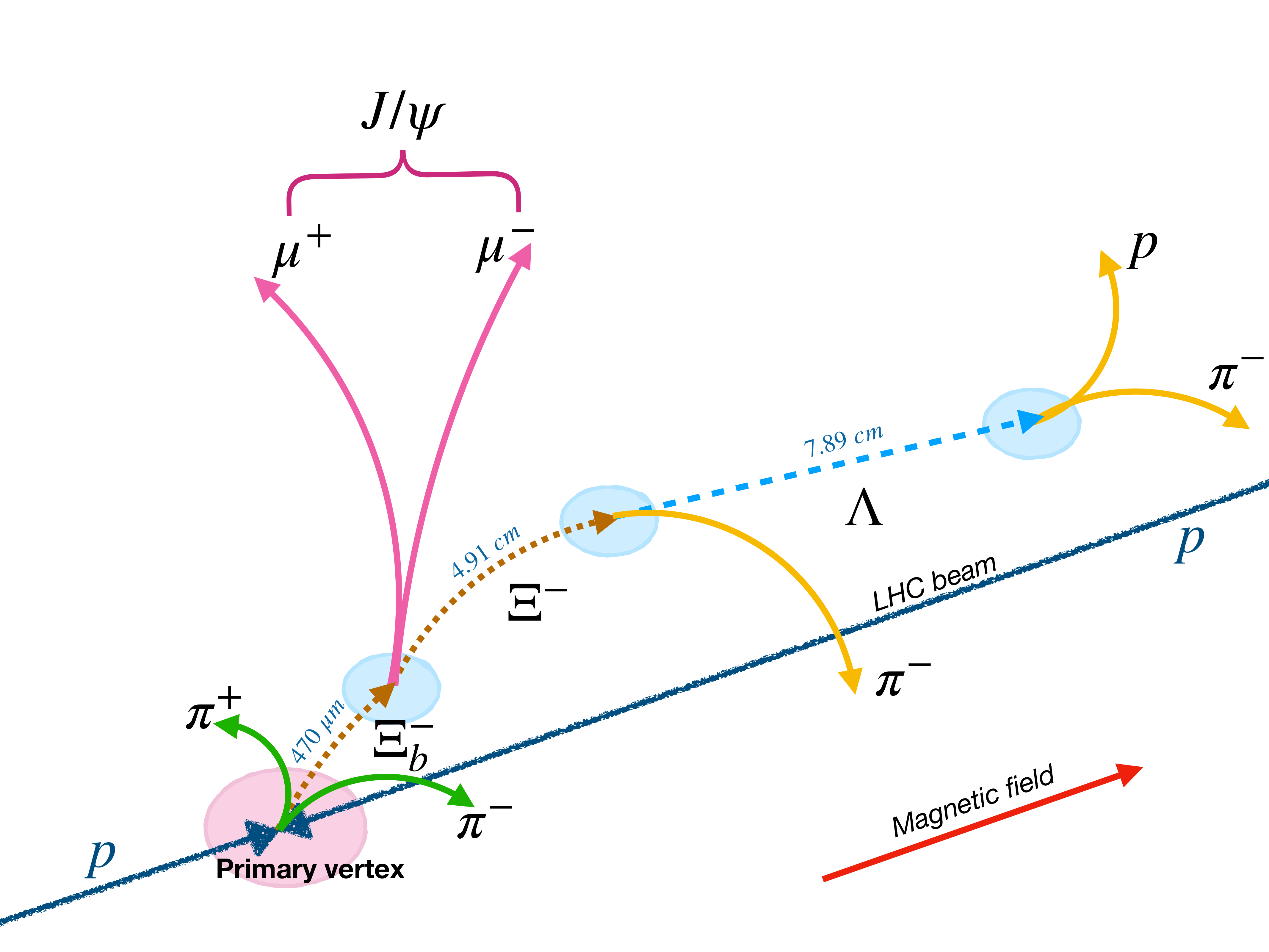 a decay chain of the Xi_b**