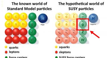 CMS physicists searched for the gluino, the supersymmetric cousin of the gluon. The red box shows where the gluino is listed.